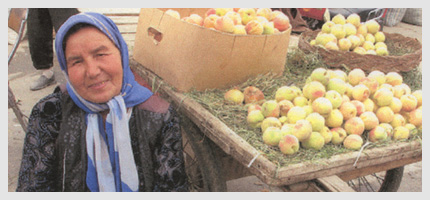 Woman selling peaches from her donkey cart